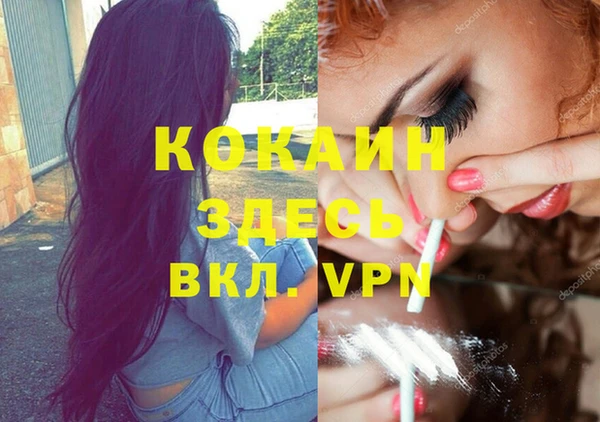 сатива Мегион