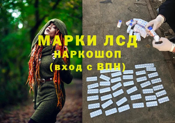PSILOCYBIN Медвежьегорск