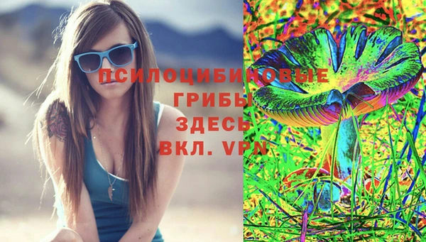 2c-b Медногорск